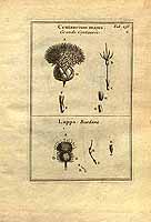  no thumbnail available