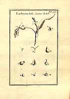  no thumbnail available