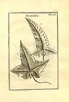  no thumbnail available