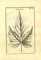  no thumbnail available