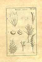  no thumbnail available