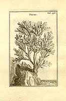  no thumbnail available