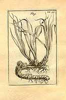  no thumbnail available