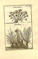  no thumbnail available