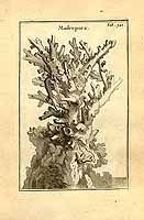  no thumbnail available