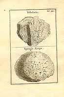  no thumbnail available