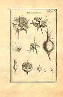  no thumbnail available