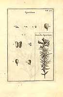  no thumbnail available