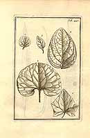  no thumbnail available