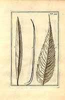  no thumbnail available