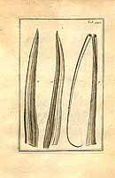  no thumbnail available