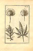  no thumbnail available