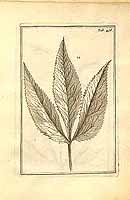  no thumbnail available