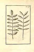  no thumbnail available