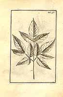  no thumbnail available