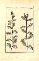  no thumbnail available