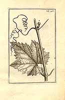  no thumbnail available