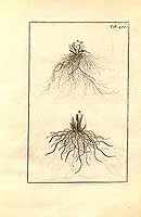  no thumbnail available