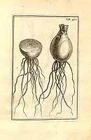  no thumbnail available