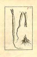  no thumbnail available