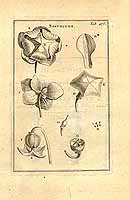  no thumbnail available