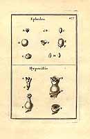  no thumbnail available