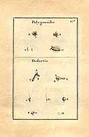  no thumbnail available