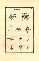  no thumbnail available