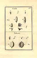  no thumbnail available