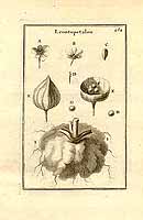  no thumbnail available