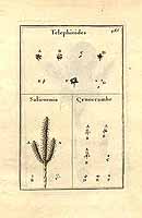  no thumbnail available