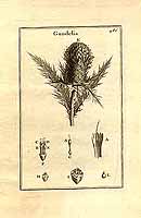  no thumbnail available