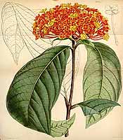  no thumbnail available