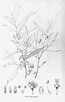  no thumbnail available