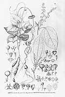  no thumbnail available