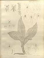  no thumbnail available