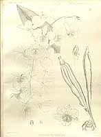  no thumbnail available