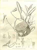  no thumbnail available