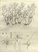  no thumbnail available