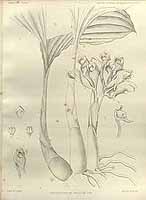  no thumbnail available