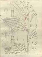  no thumbnail available