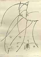  no thumbnail available