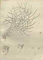  no thumbnail available