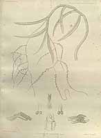  no thumbnail available