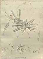  no thumbnail available