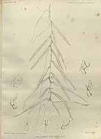  no thumbnail available