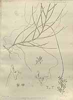  no thumbnail available