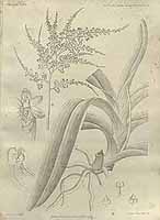  no thumbnail available