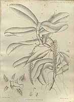  no thumbnail available