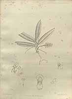  no thumbnail available